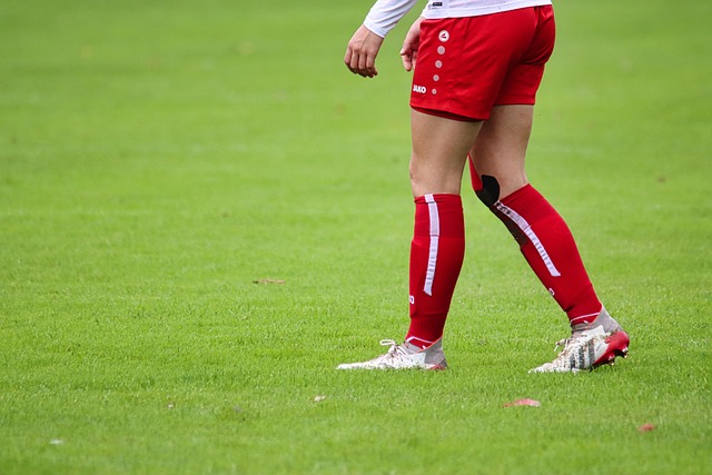 雙星組合的 雙星組合的