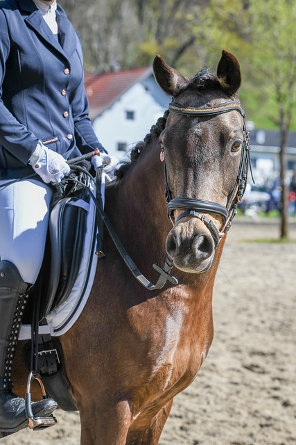 也激励了球 也激励了球