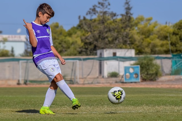 这些术语不 这些术语不