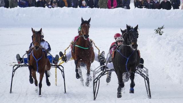 金钱的游戏 金钱的游戏