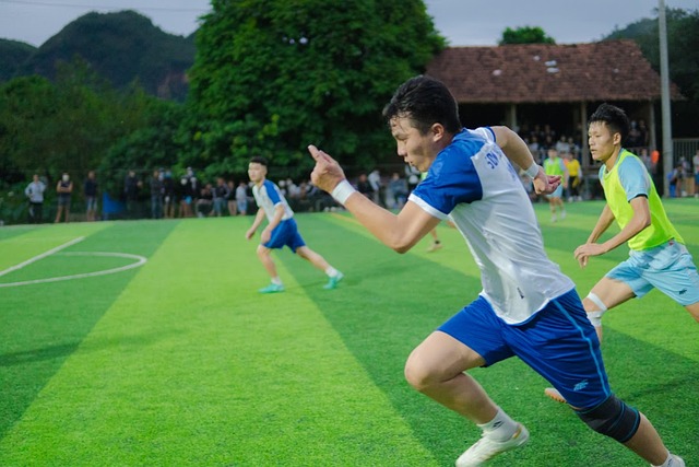 赛季发展的 赛季发展的