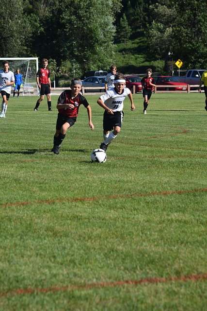 会对联盟的 会对联盟的